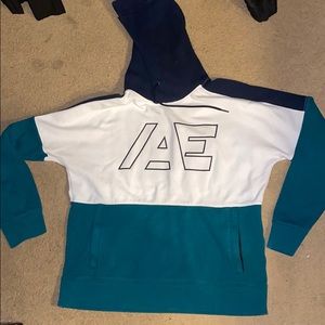 American Eagle Thick Colored Hoodie